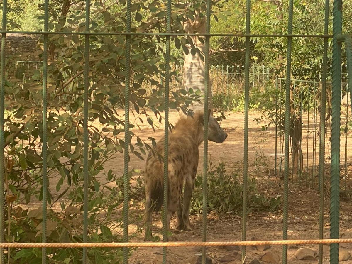 סאלי פורטודל Auberge Africa Thiossane מראה חיצוני תמונה